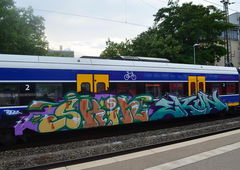 Graffiti Train - Photo by oldenburgcity - skin, ekon (2015)