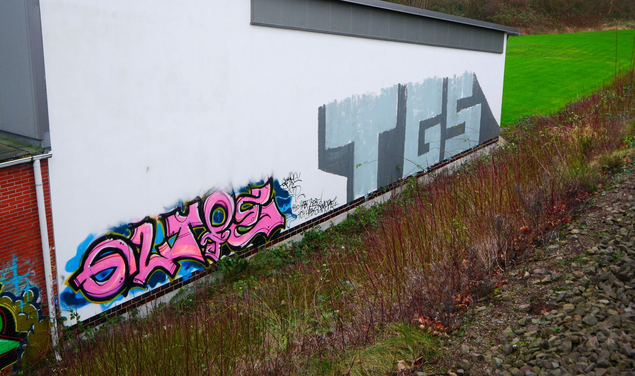 Graffiti Bombing - Photo by oldenburgcity - glyfe, tgs (2015)