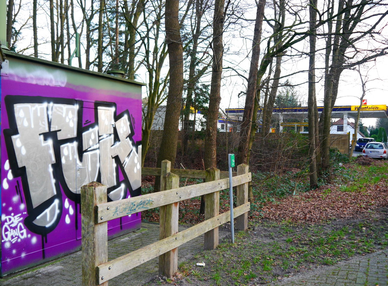 Graffiti Bombing - Photo by oldenburgcity - fuk (2015)