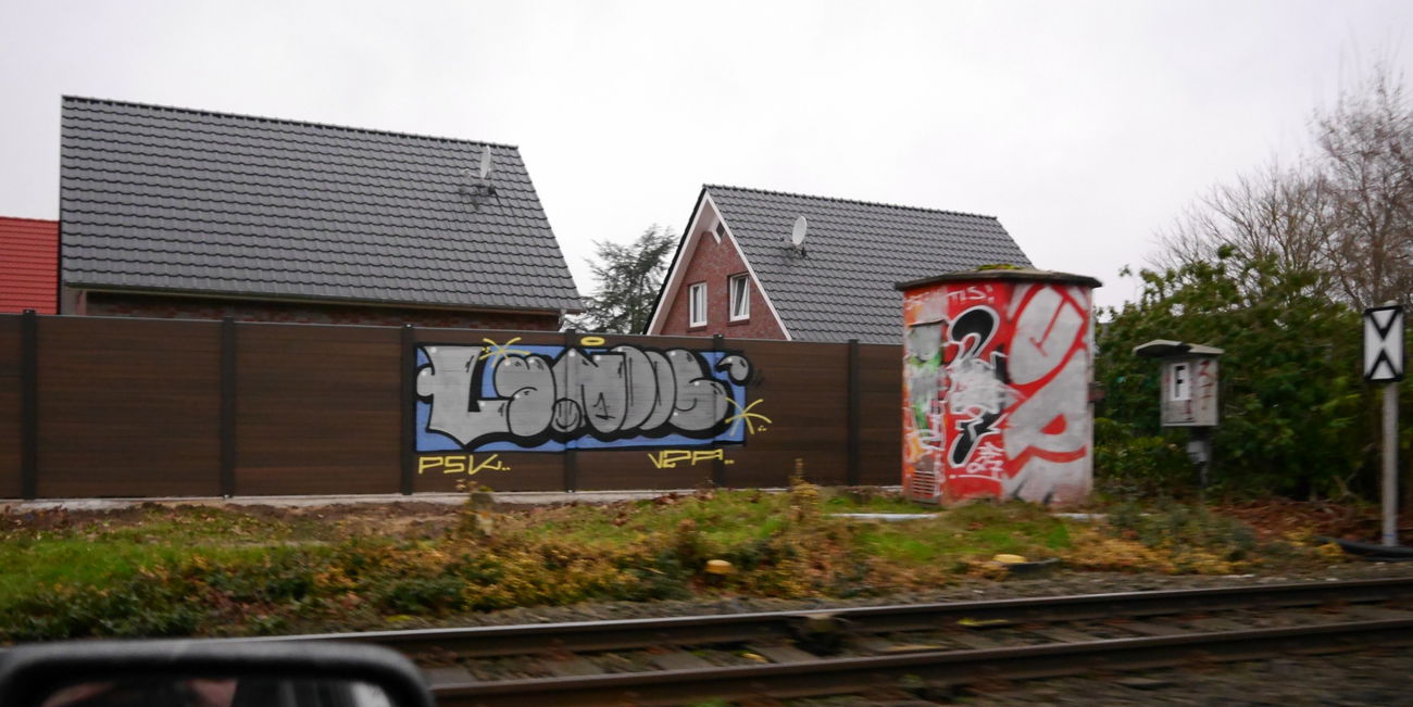 Graffiti Bombing - Photo by oldenburgcity - lynoos, leenoe, leeno (2015)