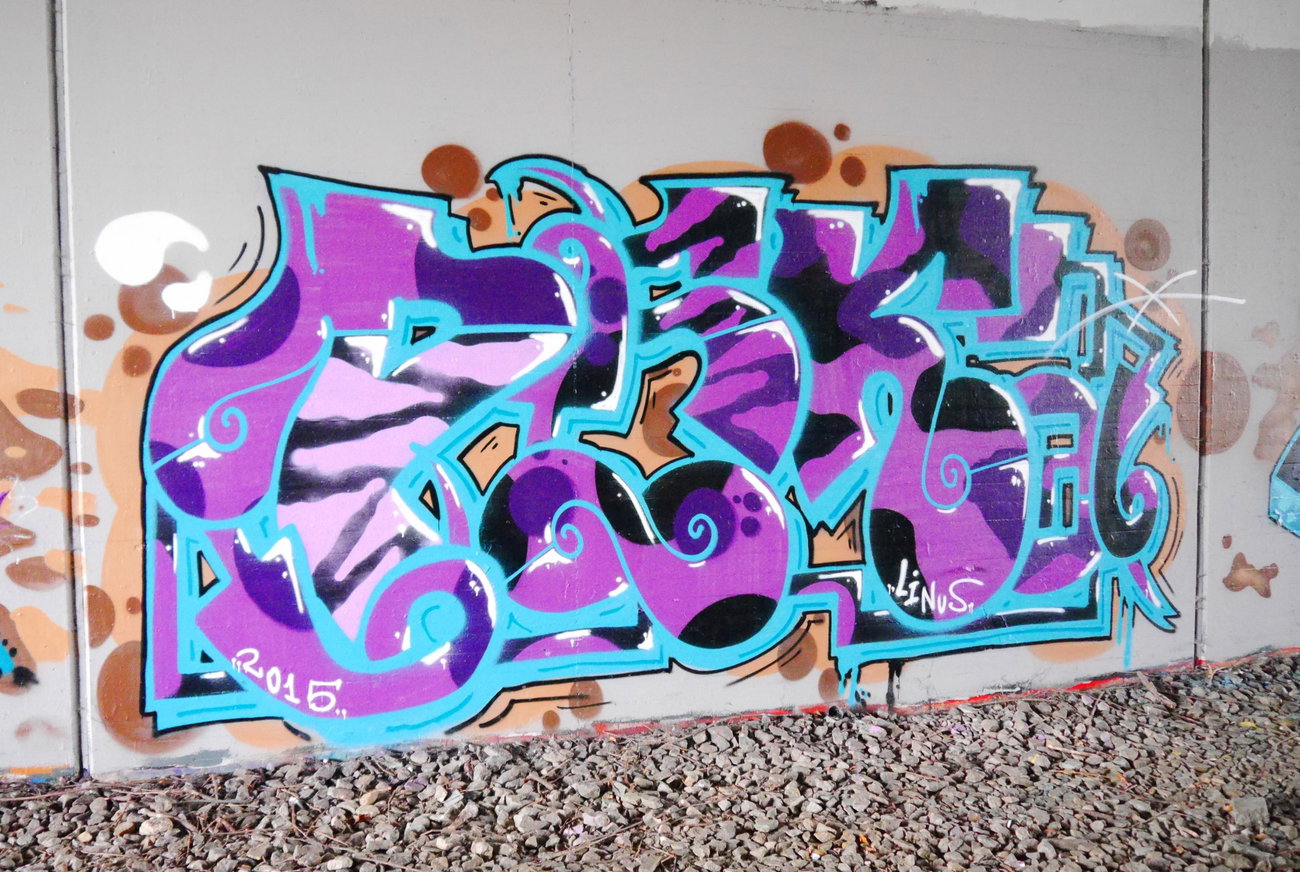 Graffiti Wall - Photo by oldenburgcity - psk (2015)