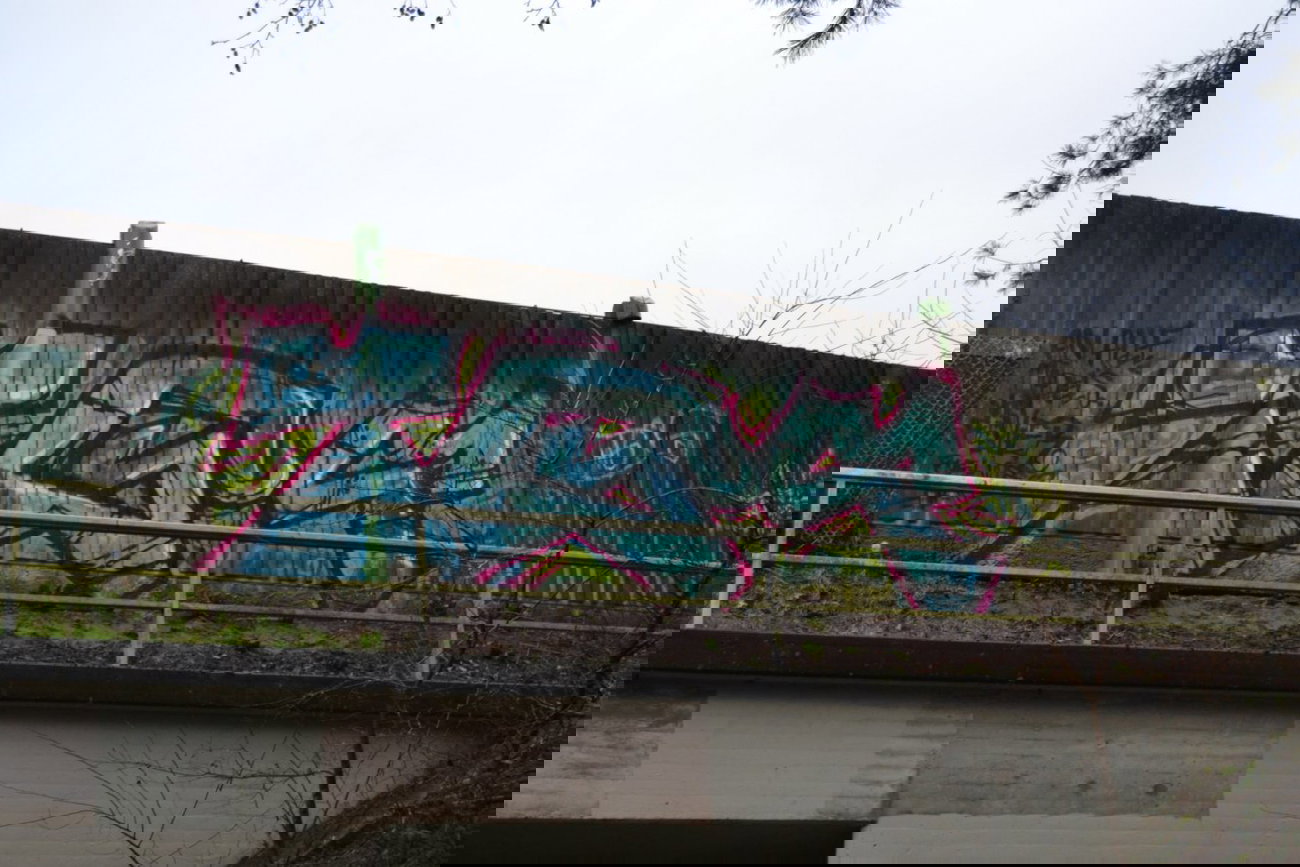 Graffiti Bombing - Photo by oldenburgcity - tgs (2015)