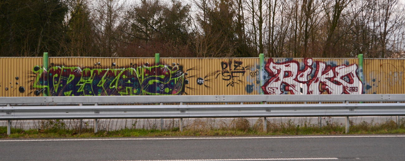 Graffiti Bombing - Photo by oldenburgcity - rillaz, rlz, riko (2015)