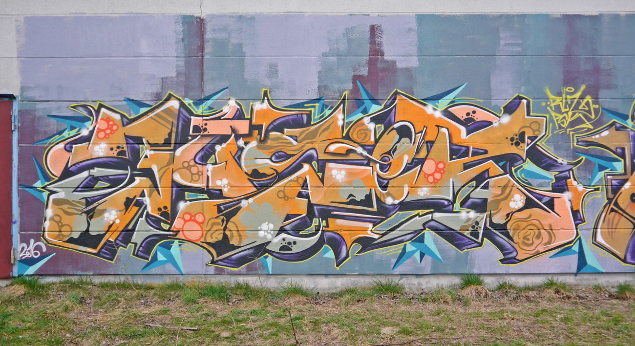 Graffiti Wall - Photo by oldenburgcity - juser (2016)