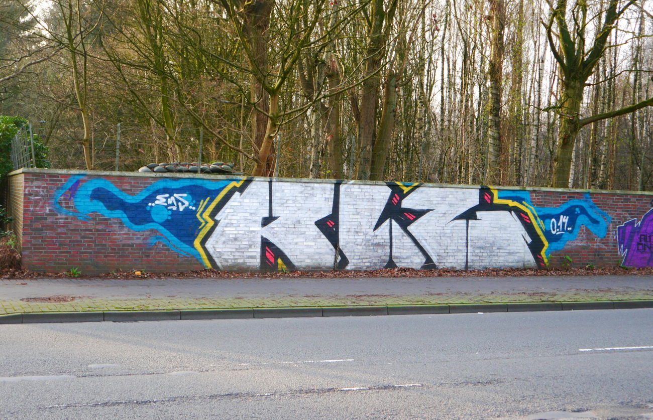 Graffiti Bombing - Photo by oldenburgcity - rlz (2015)