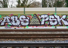 Graffiti Bombing - Photo by oldenburgcity - abs, psk (2016)