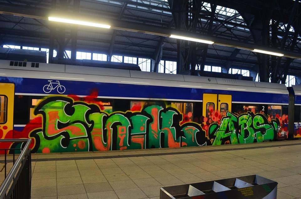 Graffiti Train - Photo by oldenburgcity - swk, abs (2014)