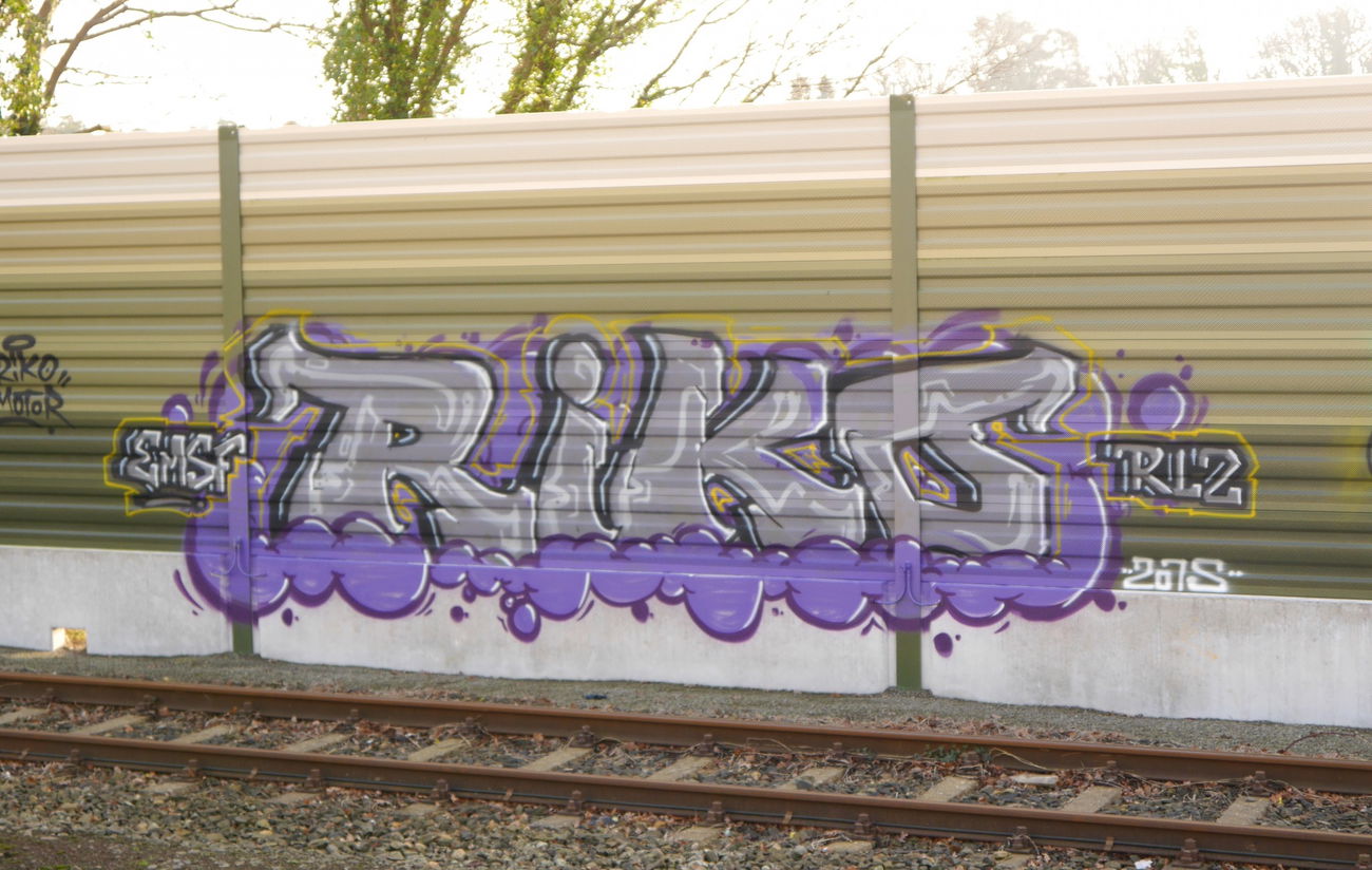 Graffiti Bombing - Photo by oldenburgcity - riko (2015)
