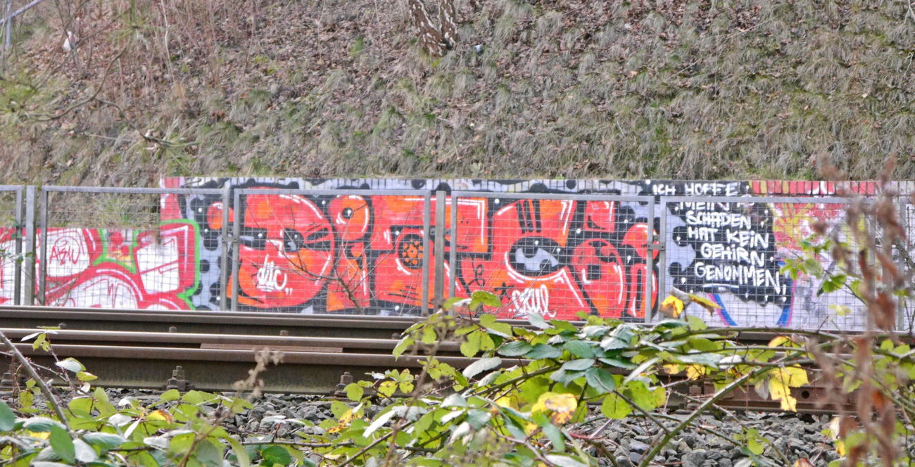Graffiti Bombing - Photo by oldenburgcity - ditc (2014)