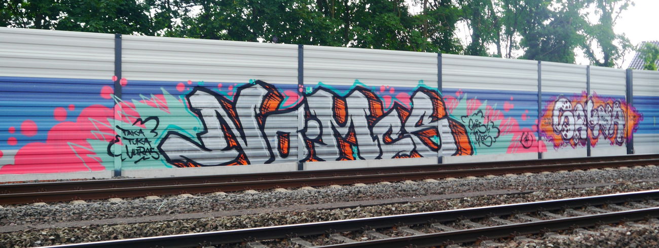 Graffiti Bombing - Photo by oldenburgcity - nomc´s, nomcs, sauna
