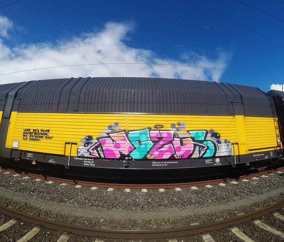 Graffiti Train - Photo by oldenburgcity - wozu, leenoe, leeno (2015)