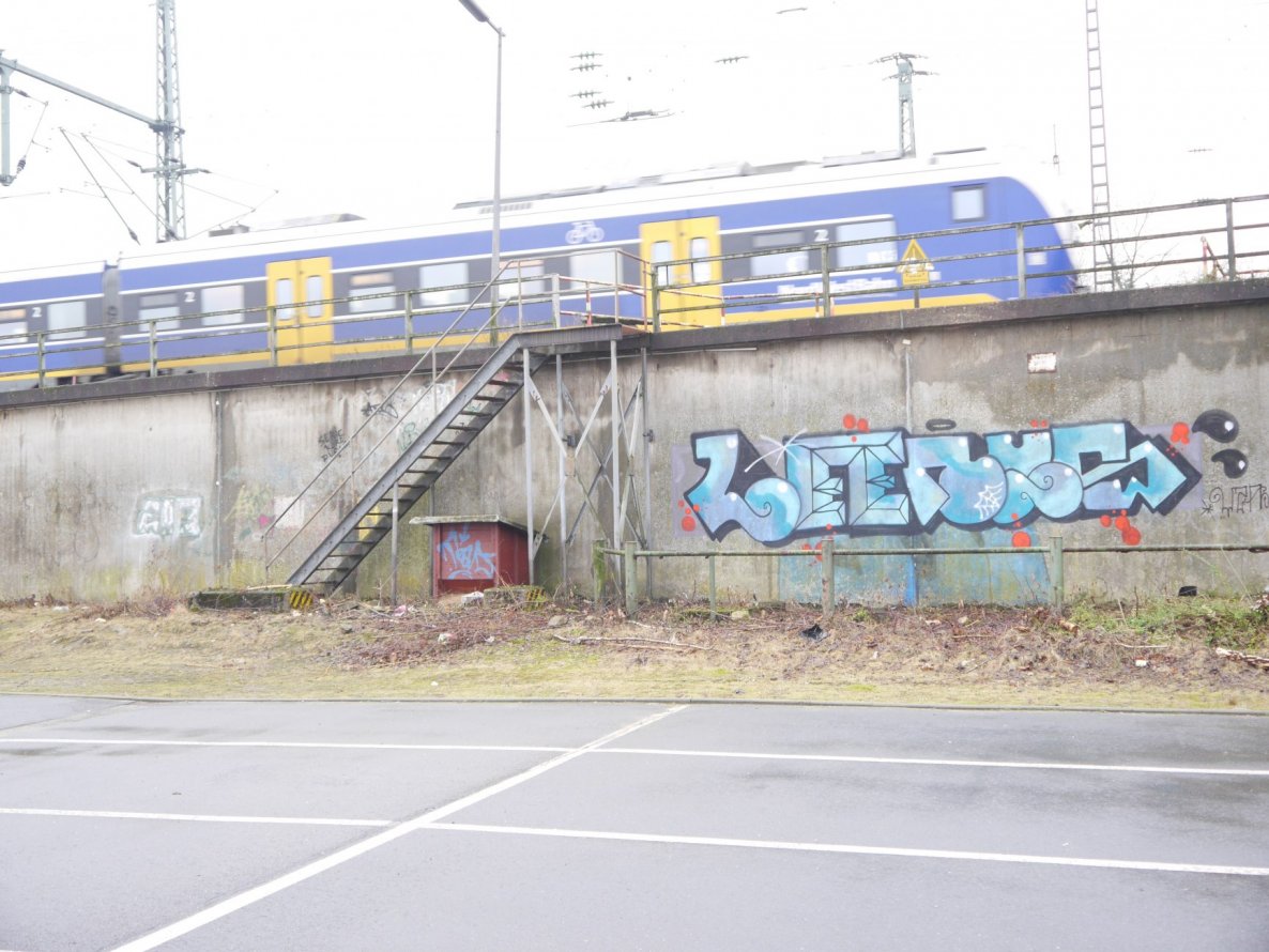 Graffiti Bombing - Photo by oldenburgcity - leenus, leenoe, leeno (2014)