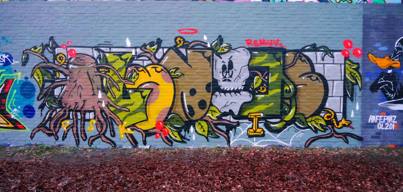 Graffiti Wall - Photo by oldenburgcity - lynoos, leenoe, linus