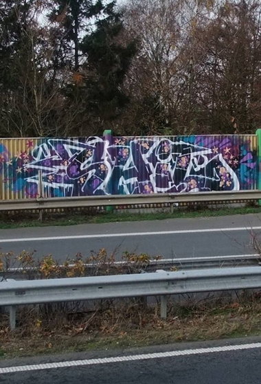 Graffiti Bombing - Photo by oldenburgcity - shil (2014)