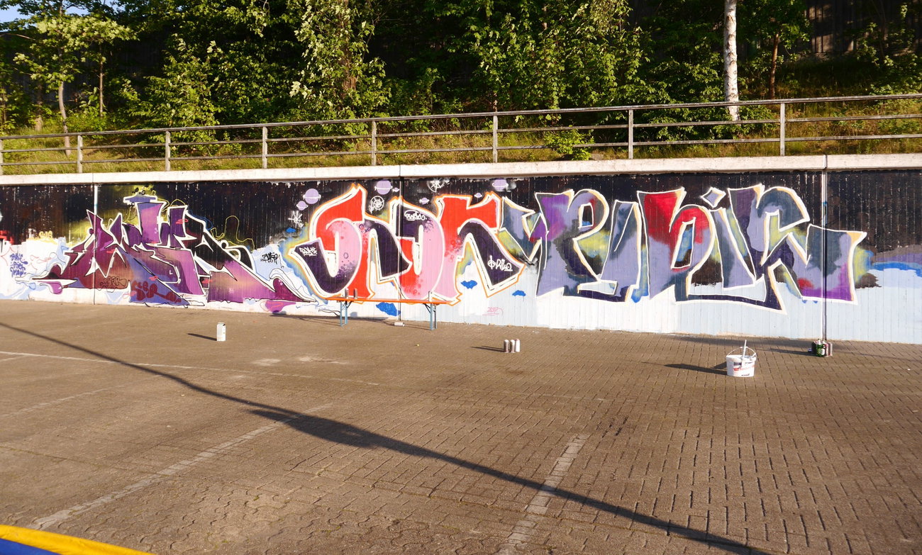 Graffiti Wall - Photo by oldenburgcity - ?, snok, pubic (2015)