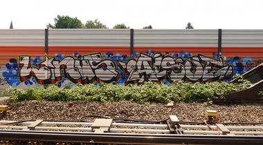 Graffiti Bombing - Photo by oldenburgcity - linus, leenoe, leeno (2015)