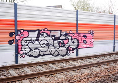 Graffiti Bombing - Photo by oldenburgcity - lee, leeno, leenoe (2015)