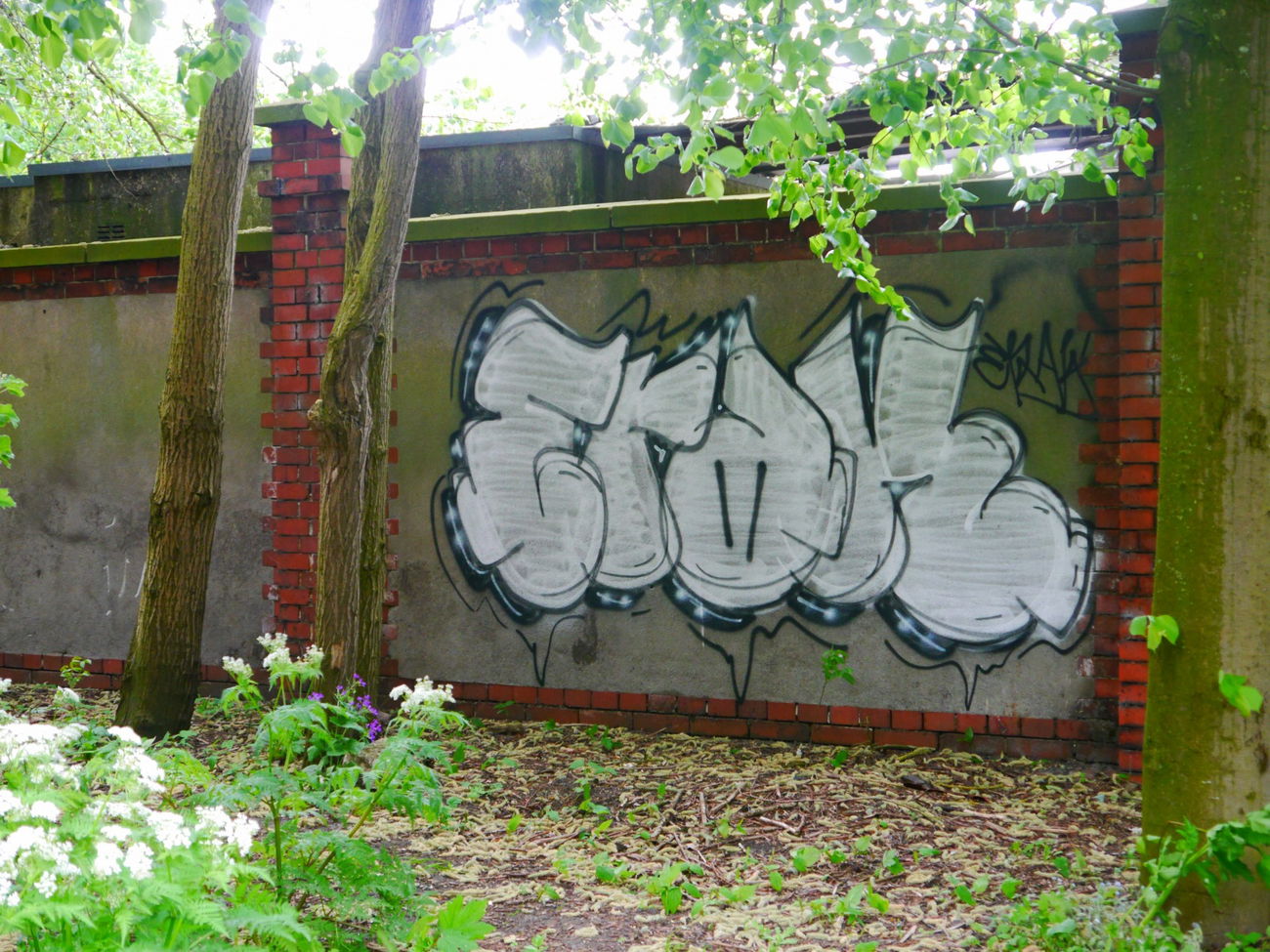 Graffiti Bombing - Photo by oldenburgcity - erak (2016)