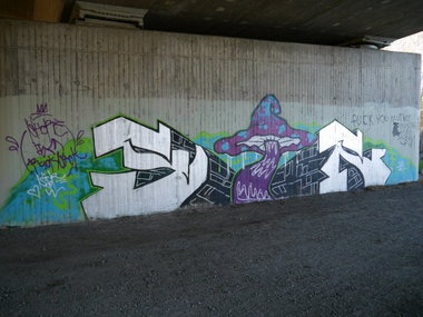 Graffiti Bombing - Photo by oldenburgcity - sir (2015)
