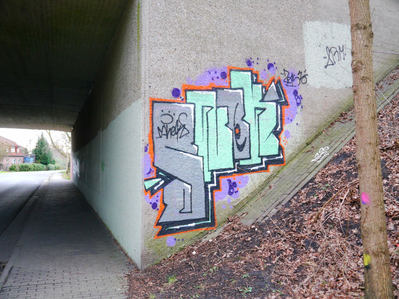 Graffiti Bombing - Photo by oldenburgcity - snok (2015)