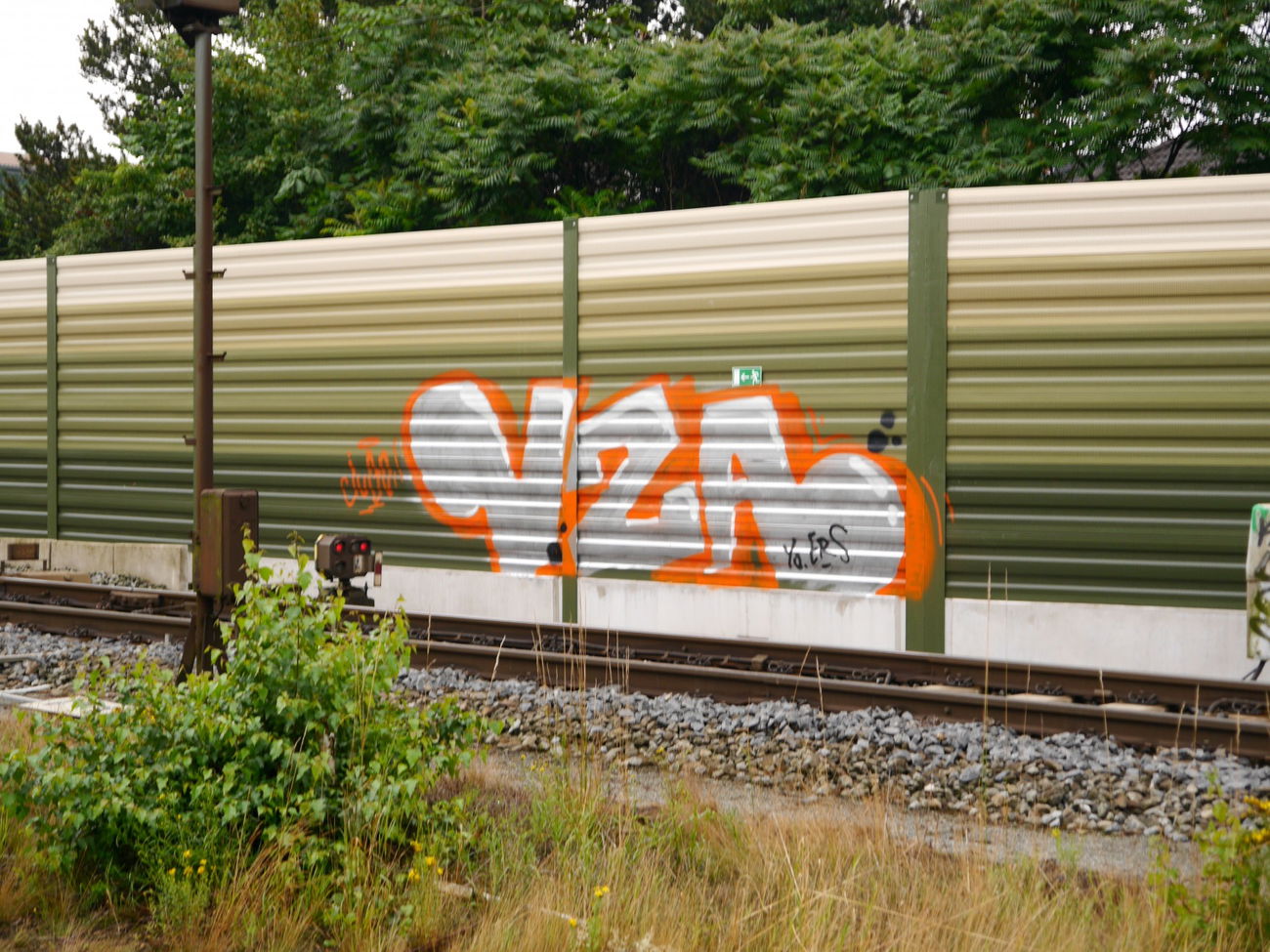 Graffiti Bombing - Photo by oldenburgcity - vza (2015)