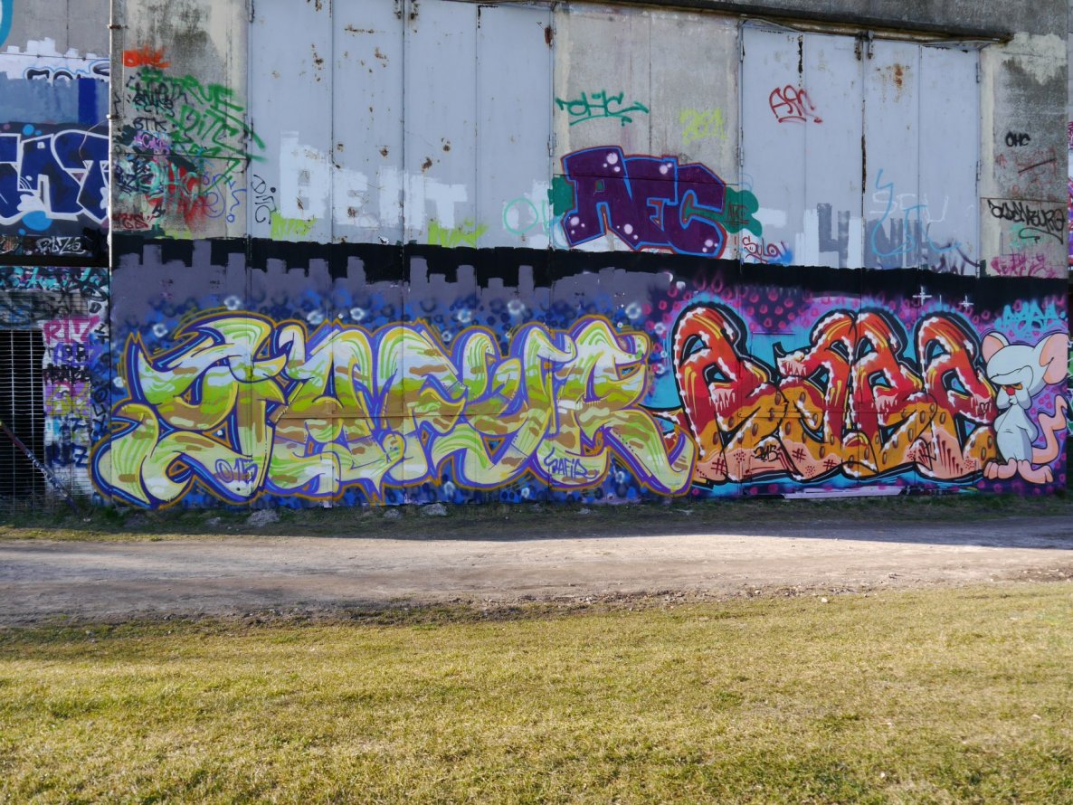 Graffiti Wall - Photo by oldenburgcity - safyr, safir, rabe