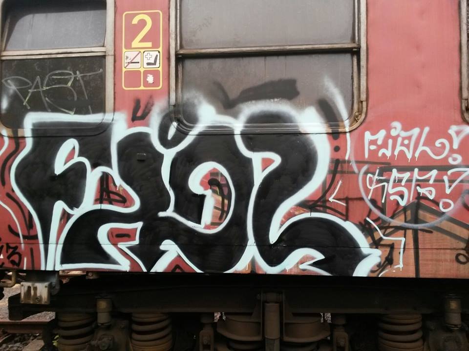 Graffiti Train - Photo by olizany_karfiol - fiol (2013)