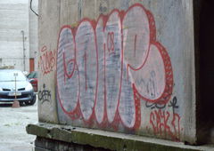 Photo #231138 by psar81