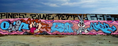 Graffiti Wall - Photo by oniph - onip, goin, ager