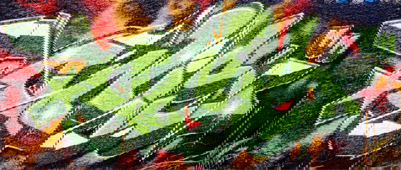 Graffiti Wall - Photo by onis