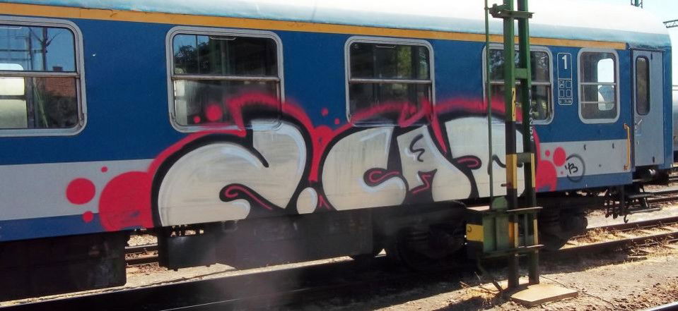 Graffiti Train - Photo by onlyoneZ - Mr.Z