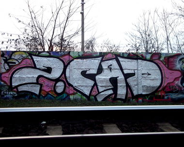 Graffiti Bombing - Photo by onlyoneZ - trainline (2013)