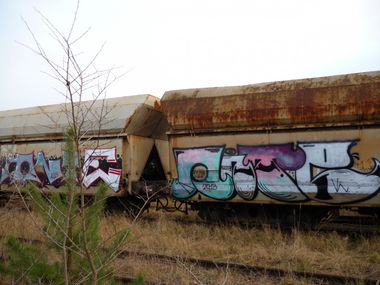 Graffiti Train - Photo by onte - onte (2013)