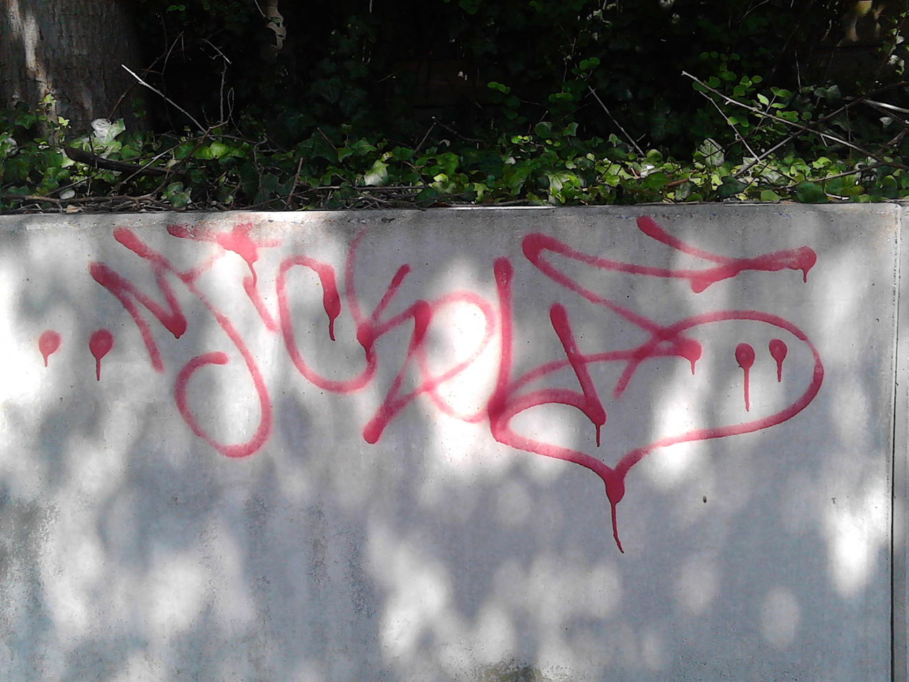 Graffiti Bombing - Photo by orbit