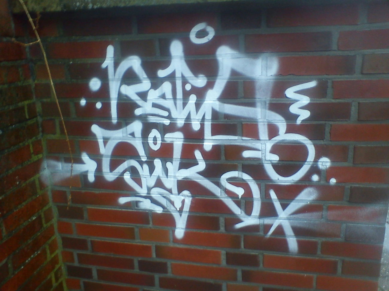 Graffiti Bombing - Photo by orbit