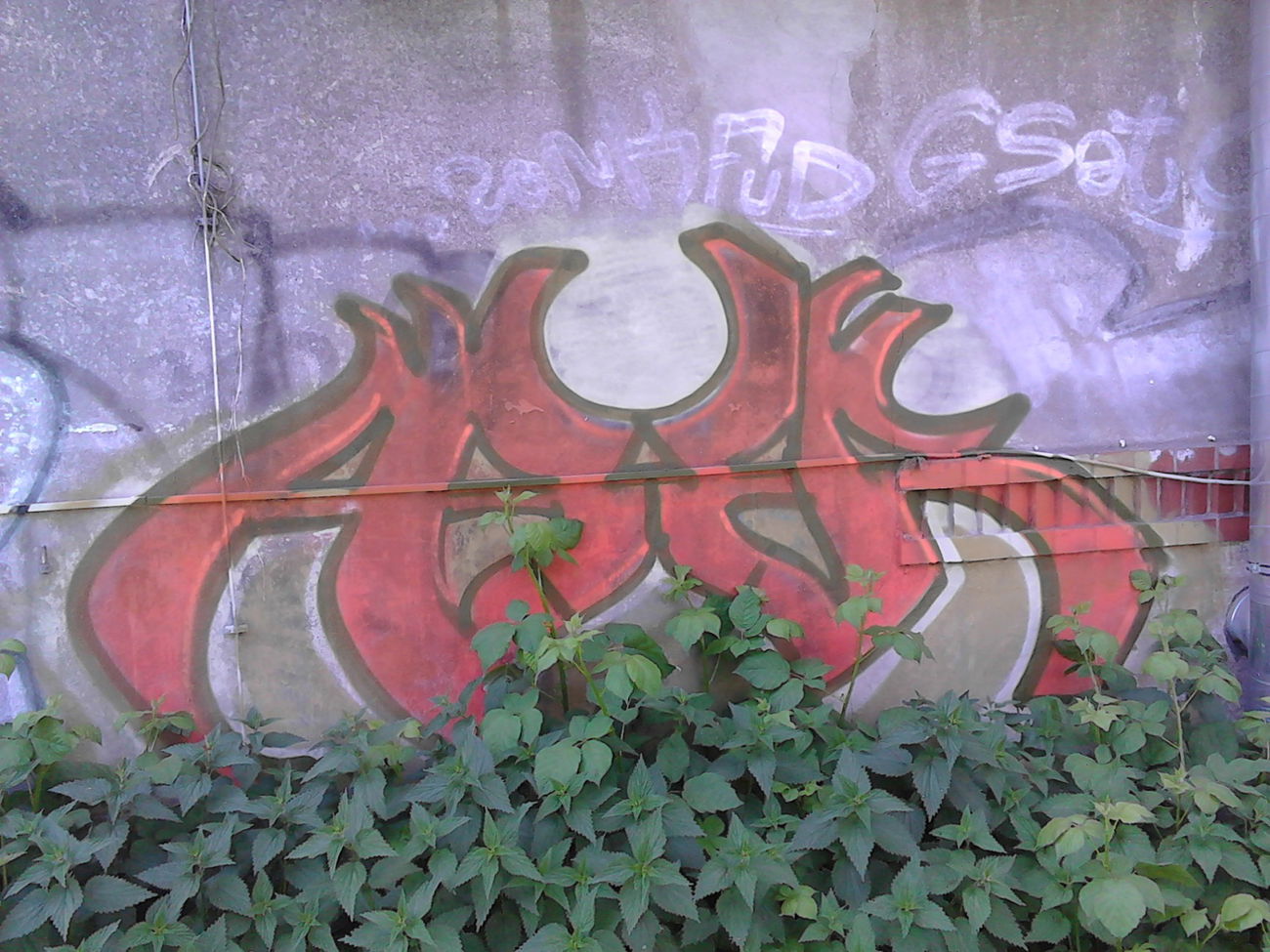 Graffiti Wall - Photo by orbit