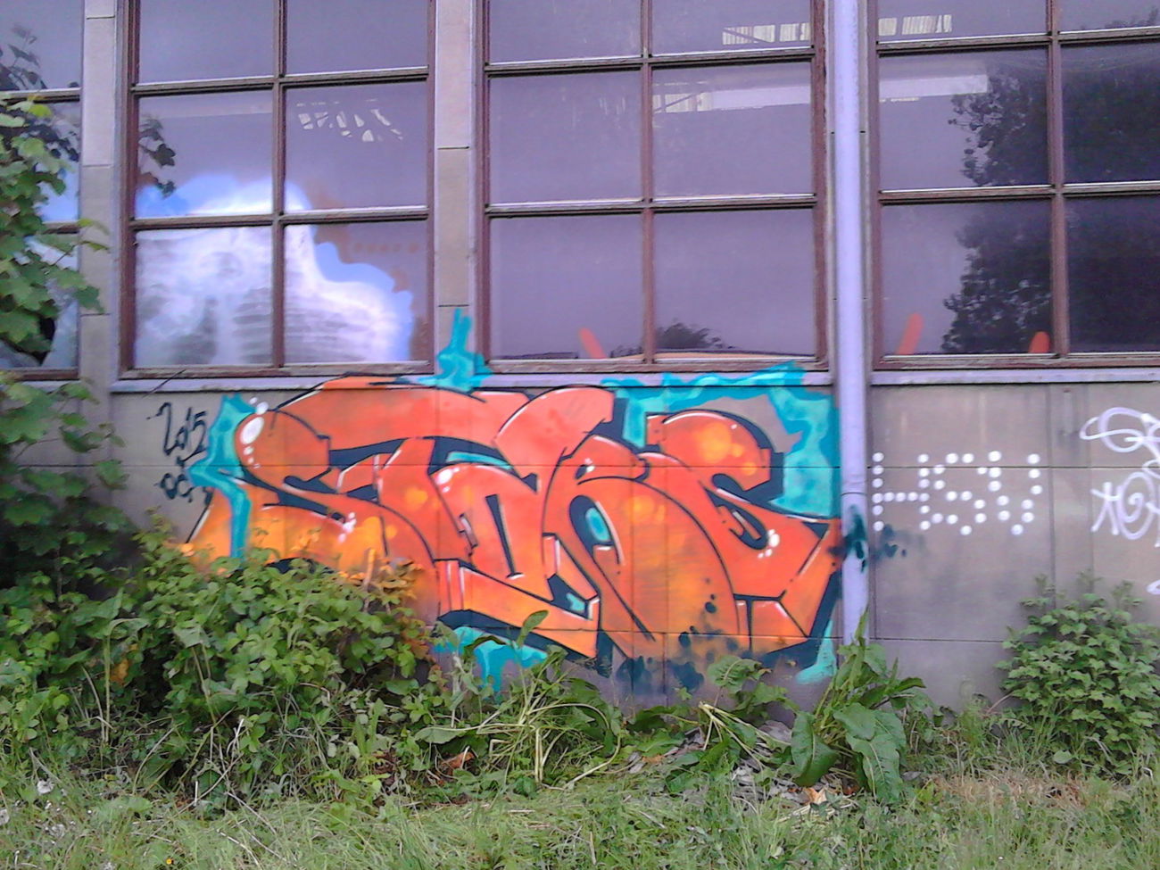 Graffiti Wall - Photo by orbit