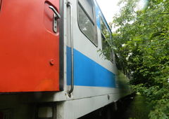 Photo #57057 by JustTheG