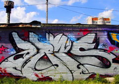 Photo #6478 by royalbone