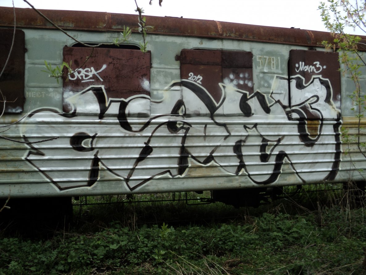 Graffiti Train - Photo by orsa