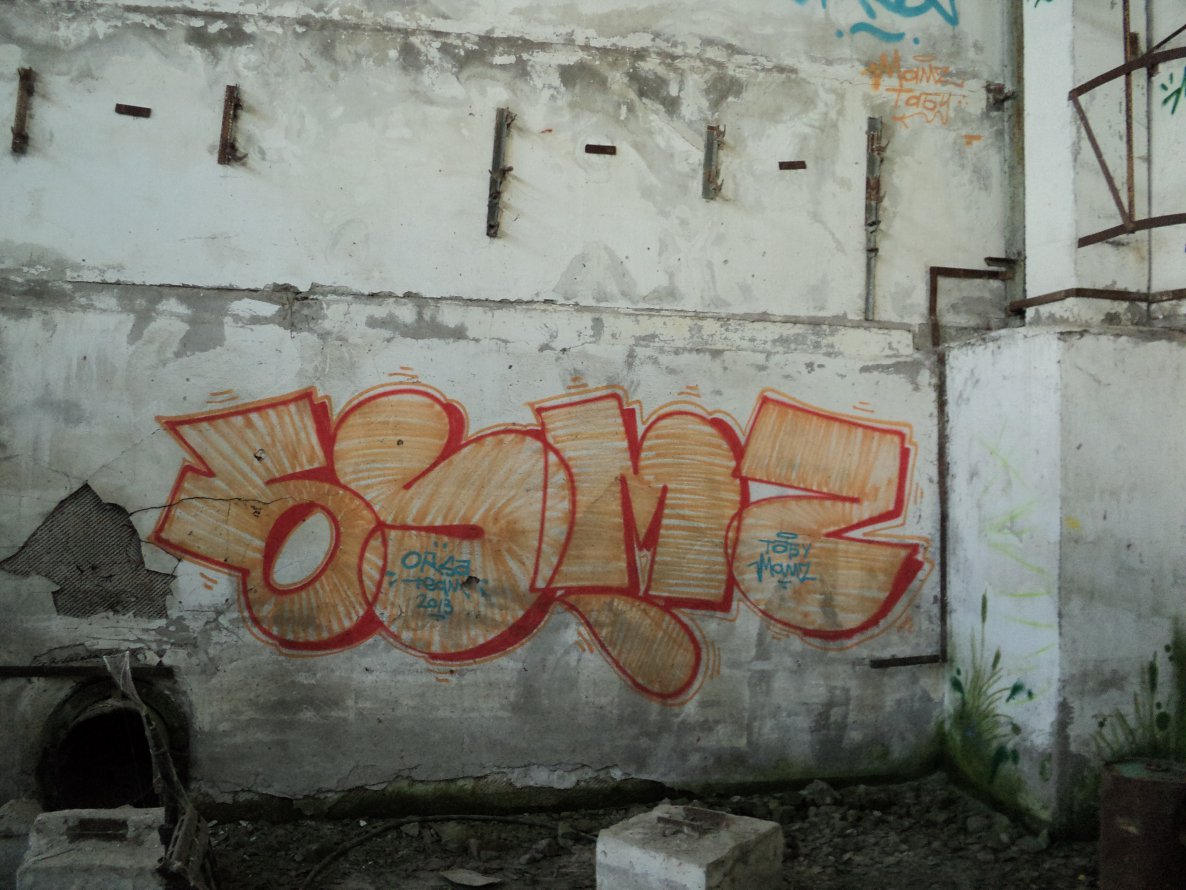 Graffiti Bombing - Photo by orsa (2013)