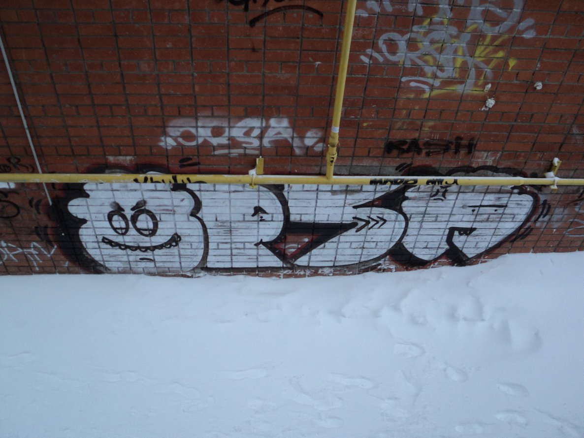 Graffiti Bombing - Photo by orsa