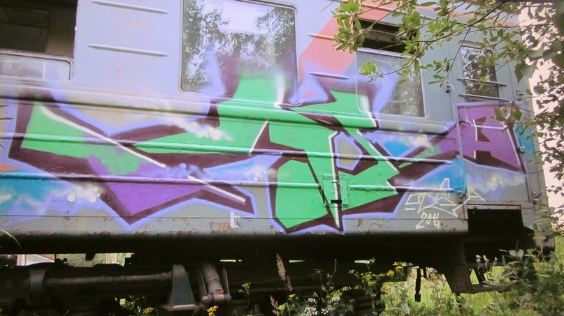 Graffiti Train - Photo by orsa
