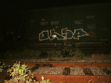 Graffiti Train - Photo by orsa
