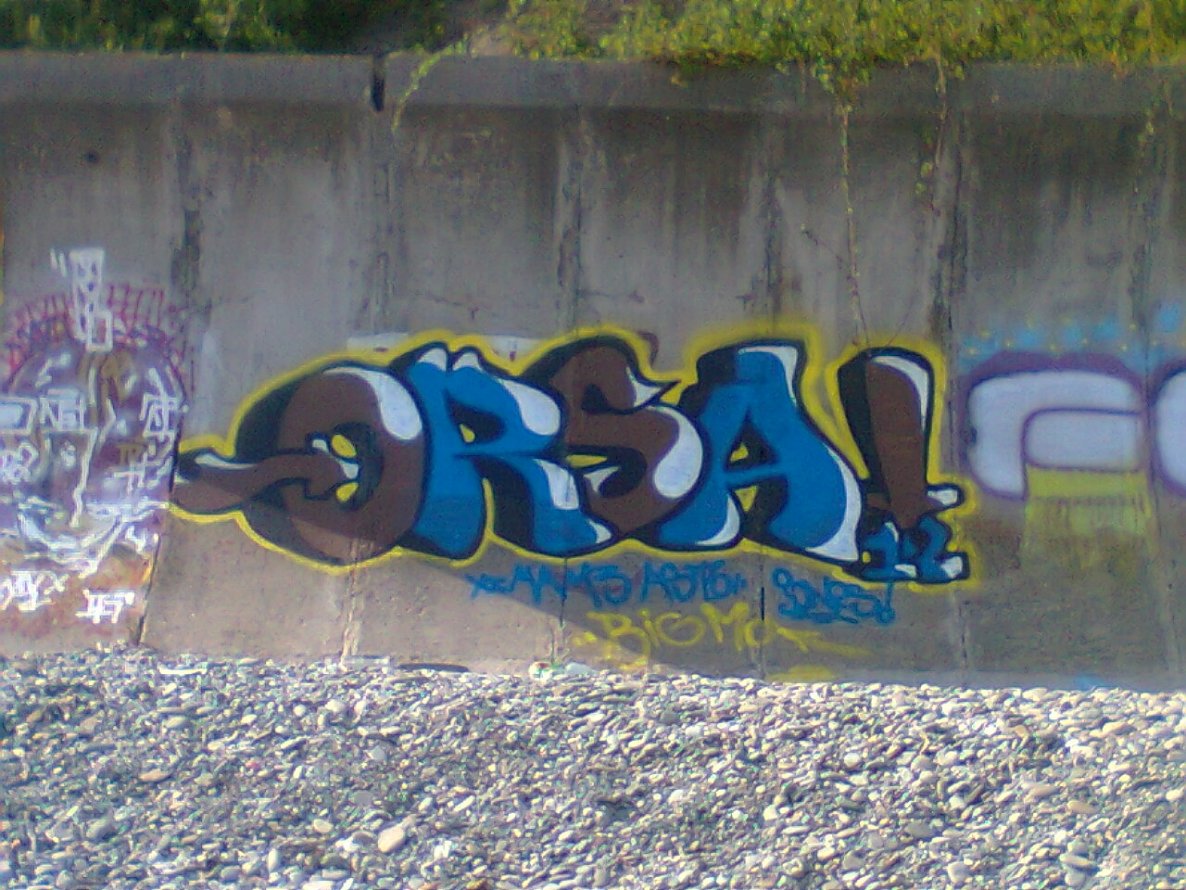 Graffiti Bombing - Photo by orsa