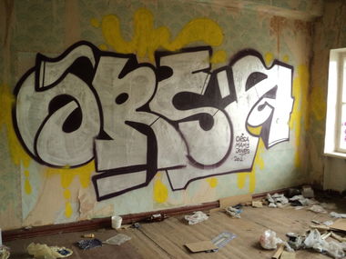 Graffiti Bombing - Photo by orsa