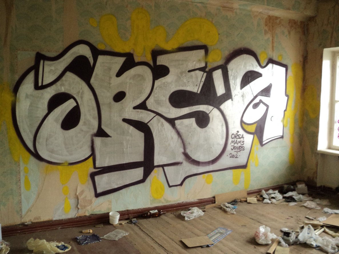 Graffiti Bombing - Photo by orsa
