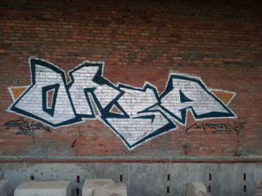 Graffiti Bombing - Photo by orsa
