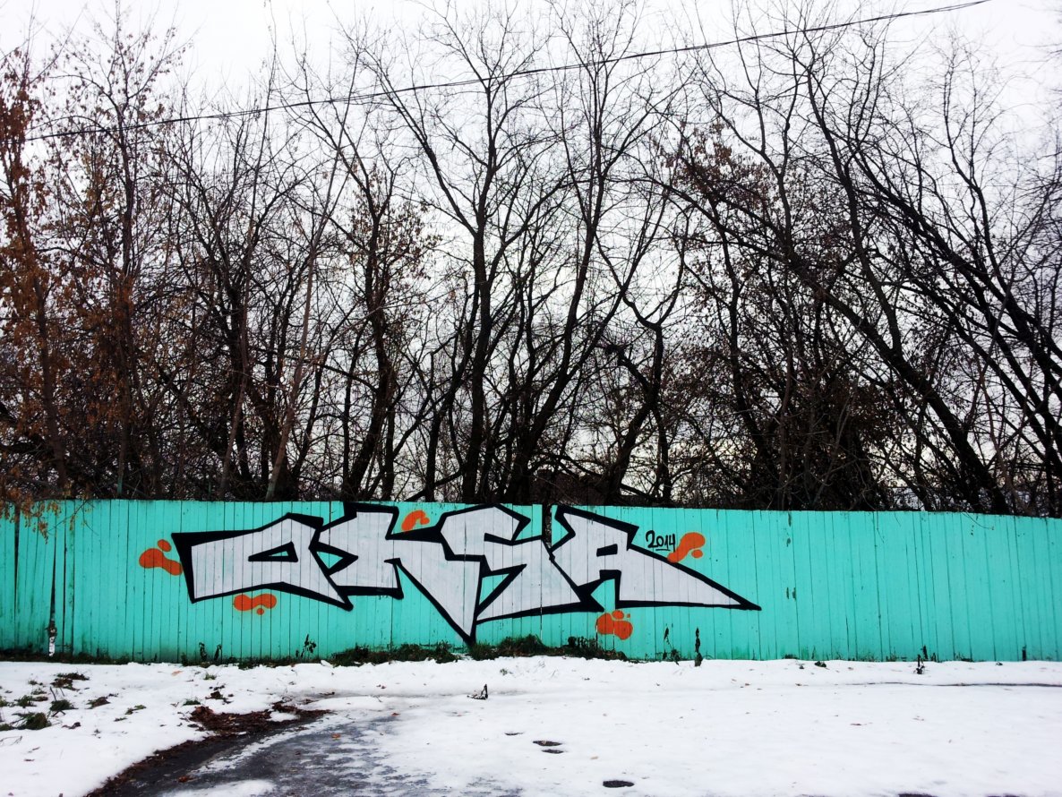 Graffiti Bombing - Photo by orsa