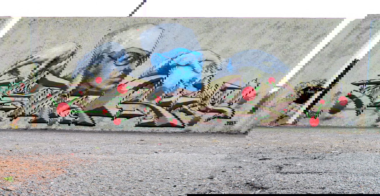 Graffiti Wall - Photo by oscar1 - oscar1, crunkid, burgas (2013)